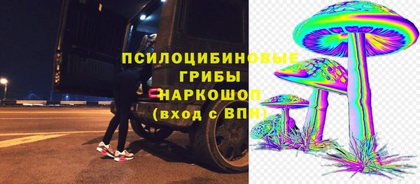 твердый Верхний Тагил