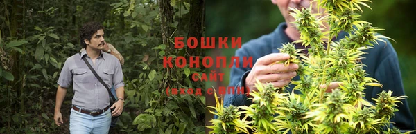 ALPHA PVP Богданович