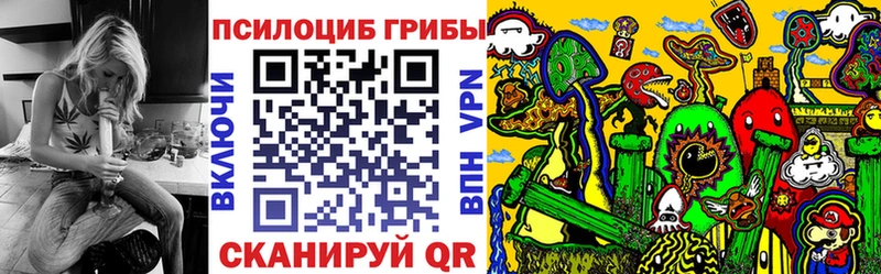 Псилоцибиновые грибы Psilocybine cubensis Купить где Усть-Кут