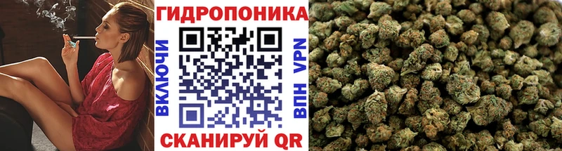 Купить  Усть-Кут  Конопля гибрид 